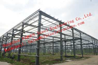 China NZ ALS verschiedene Standard-industrielle Stahlgebäude für strukturelles Skelett gestaltetes Stahlgebäude fournisseur