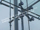 Edelstahl-Flossen-völlig Spinne, die Frameless Glaszwischenwand für Ausstellungsraum passt fournisseur